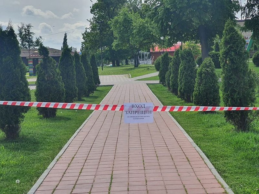 С начала весны для удаления клещей в травмпункт больницы имени Архиепископа Луки обратились уже 280 человек