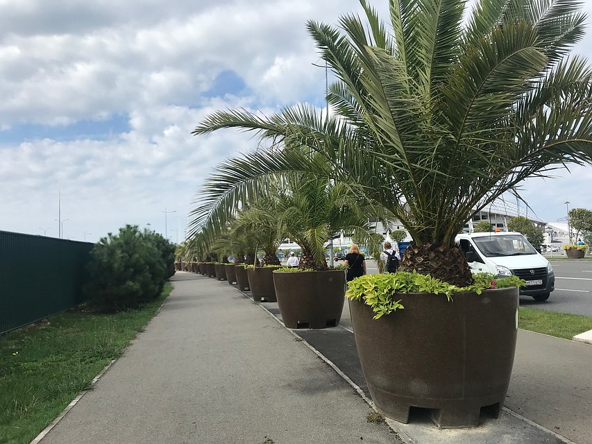 1 июня в кубанских здравницах открывается курортный сезон.
