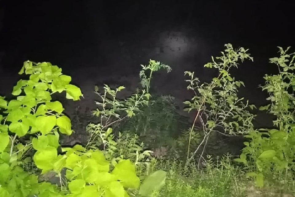 Поиски были начаты поздно вечером.