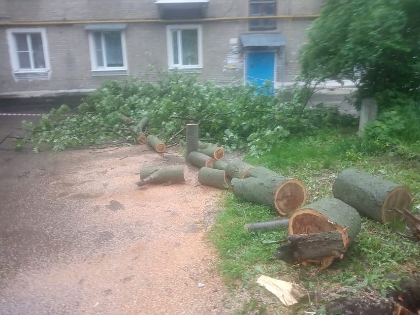 Фото: пресс-служба администрации Рязани.