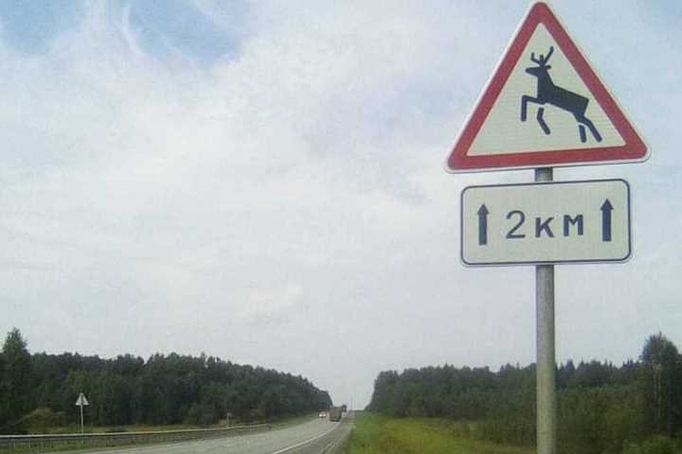 ФОТО: Заповедное Подлеморье.