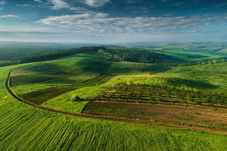 Фото - Максим Чумаш