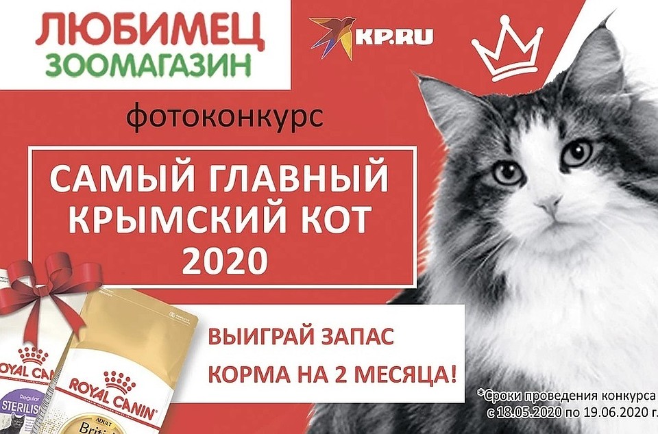 В конкурсе за месяц поучаствовало почти 300 пушистиков!
