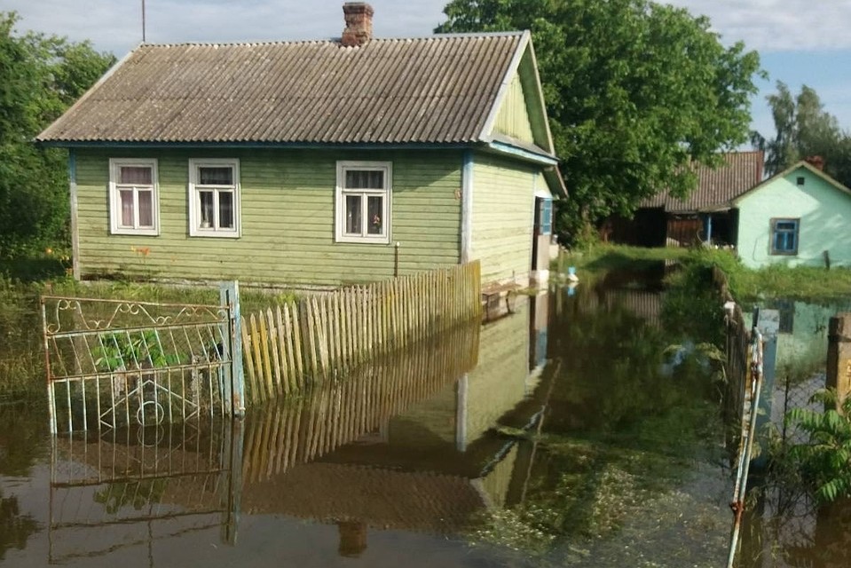 После ливня в Дрогичинском районе случился потоп. Фото: МЧС
