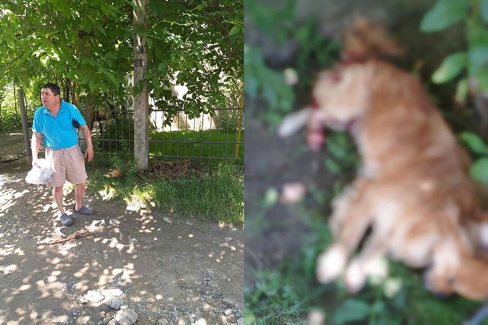 Соседка успела сфотографировать врача, который собрался "избавиться от трупа". Фото: facebook/groups/volonters.md