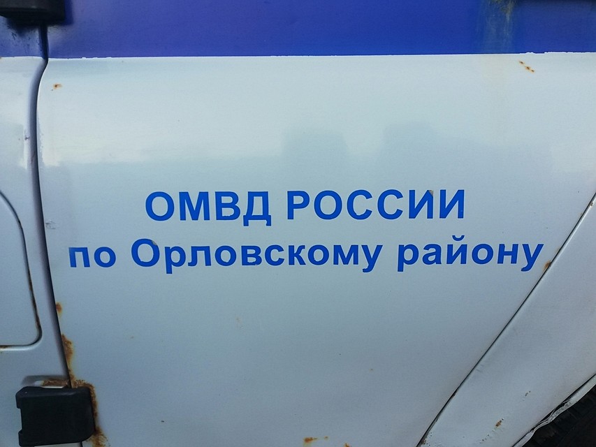 Инцидент произошел в одном из поселков Орловского района