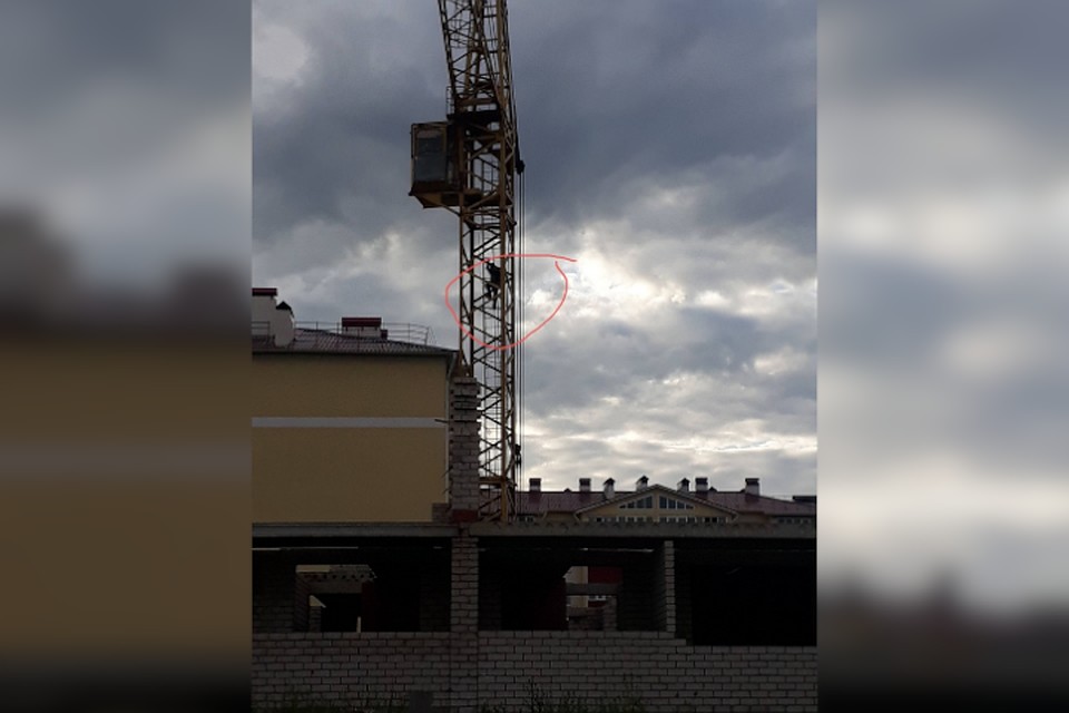 фото: соцсети