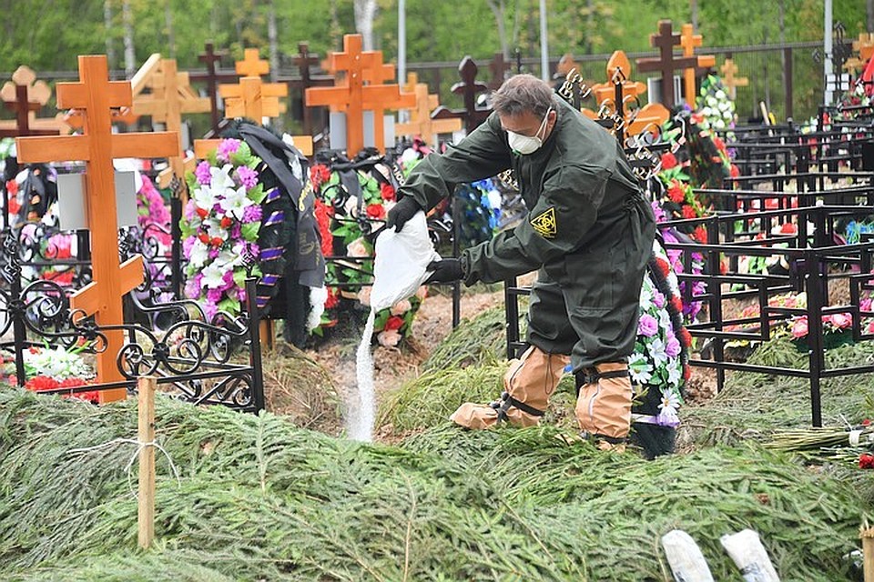 Статистика смертности в регионе заметно изменилась.