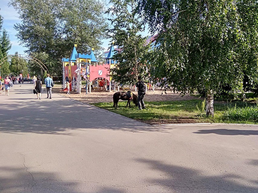 В Саратовской области на выходных будет немного прохладнее