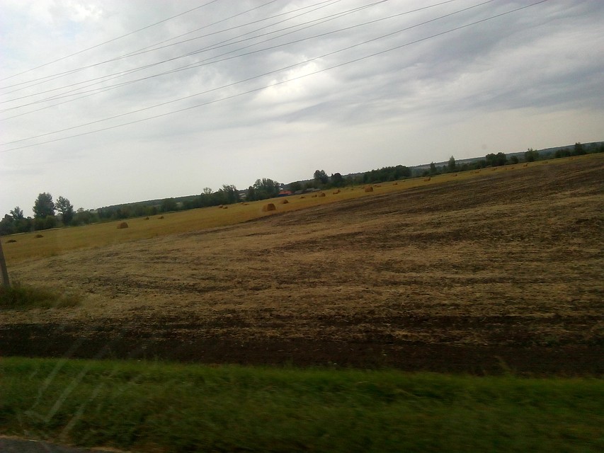 Средняя урожайность - более 53 центнеров с гектара