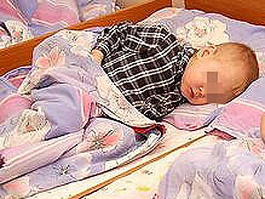 Сейчас дети находятся в приюте