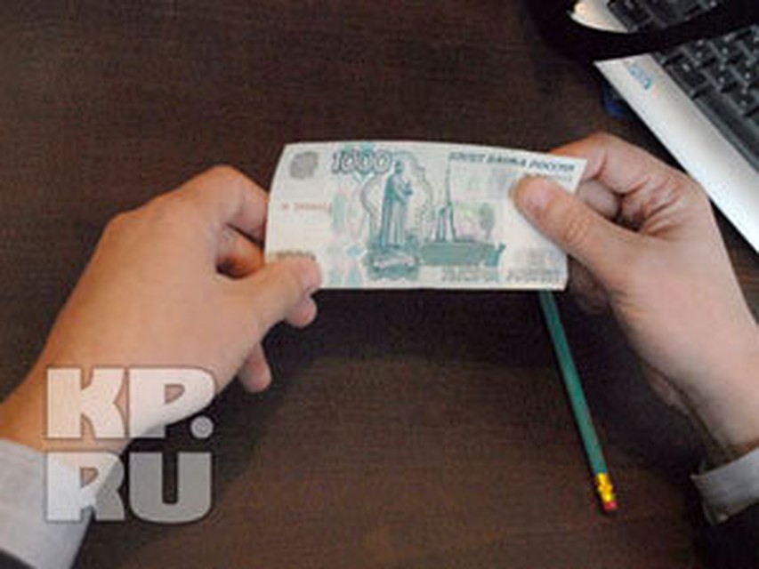 "Предприниматель" зарабатывал деньги на плодах чужого труда