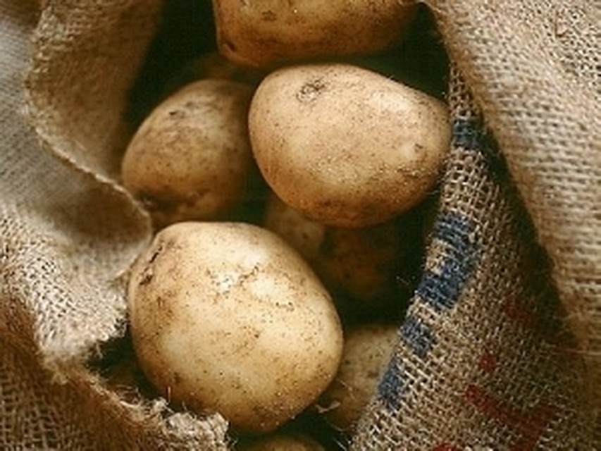 В данный момент продажа этой продукции запрещена.