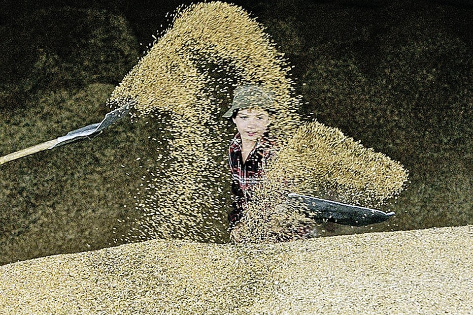 СССР зерно ввозил, а мы вывозим. Можем достигать успеха, когда хотим.