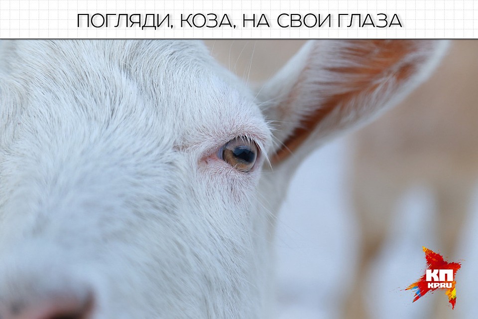 Фото: Мария ЛЕНЦ