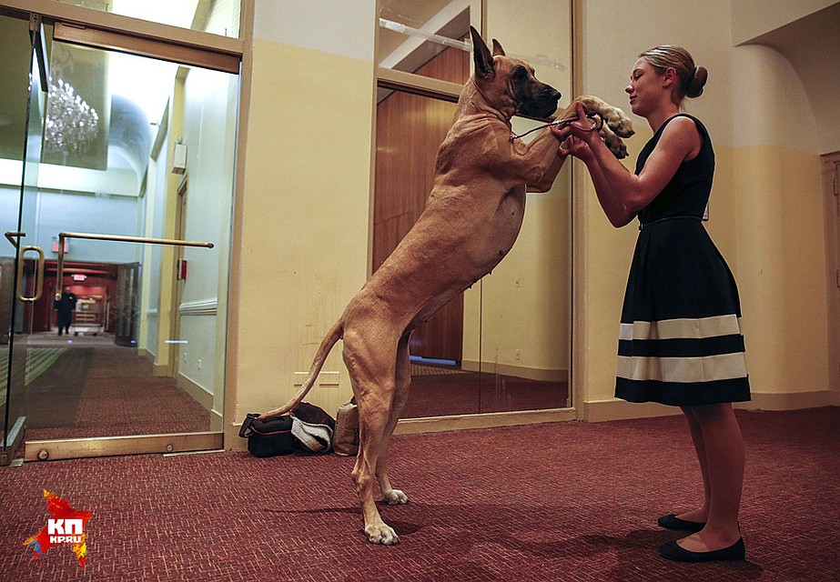 Фото: REUTERS