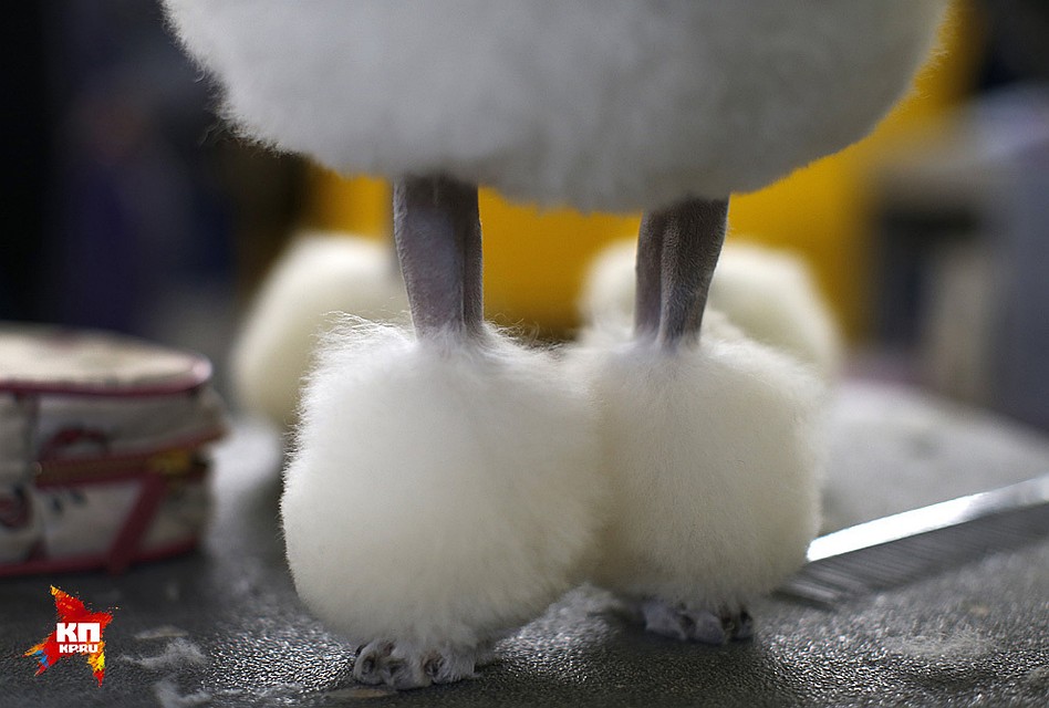 Фото: REUTERS