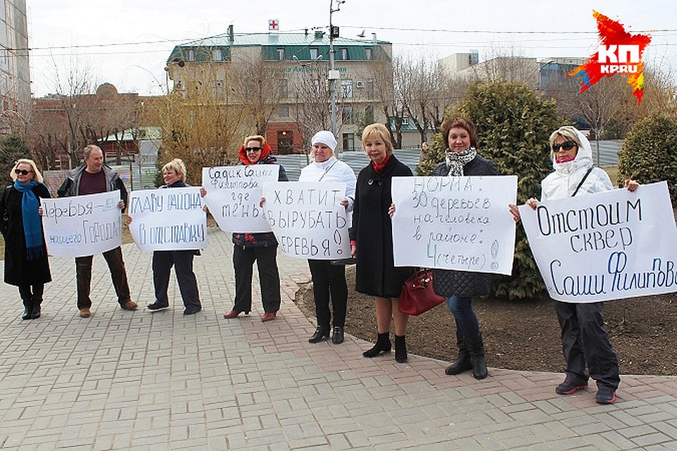 В парке пустят под топор 77 деревьев и 52 кустарников.