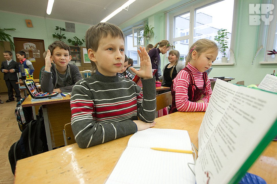 Все радуются каникулам, и только бедные выпускники начальных школ в панике...
