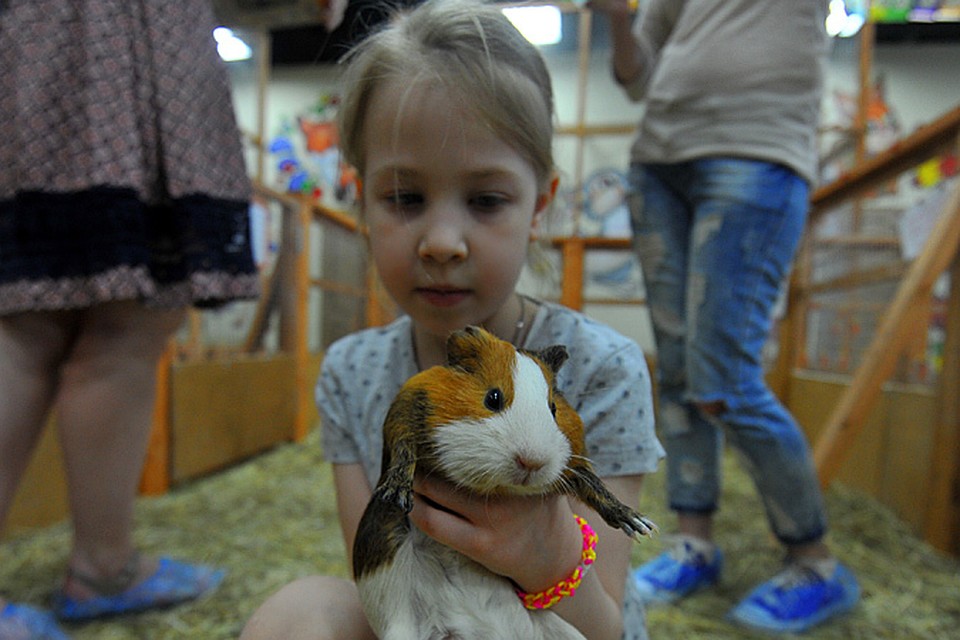 Вообще этот зоопарк небольшой