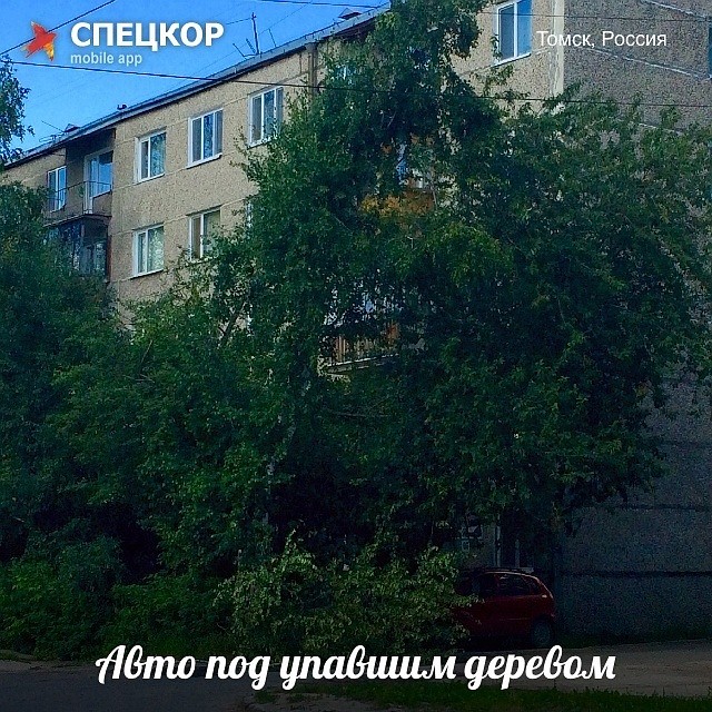 Фото: Софья СЕВОСТЬЯНОВА