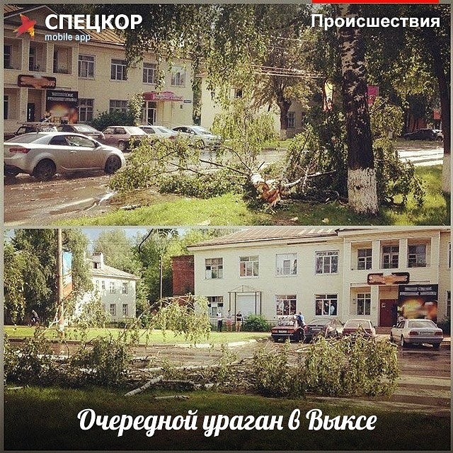 Фото: Мобильное приложение «Спецкор» от «Комсомольской правды»