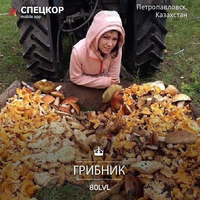 Фото: Мобильное приложение «Спецкор» от «Комсомольской правды»