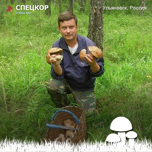 Фото: Мобильное приложение «Спецкор» от «Комсомольской правды»