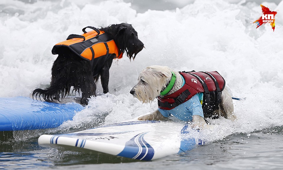 Фото: REUTERS