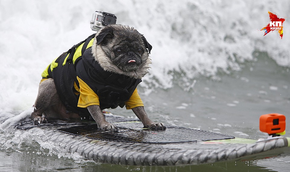 Фото: REUTERS