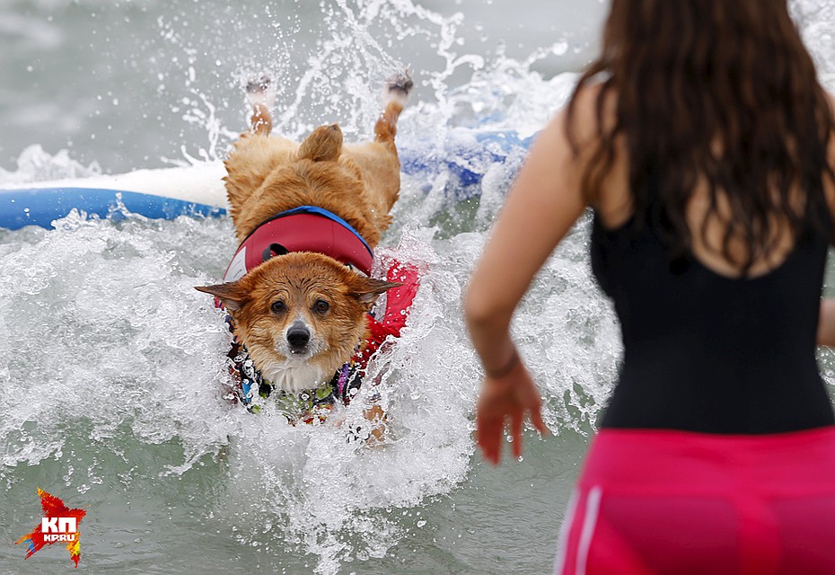 Фото: REUTERS