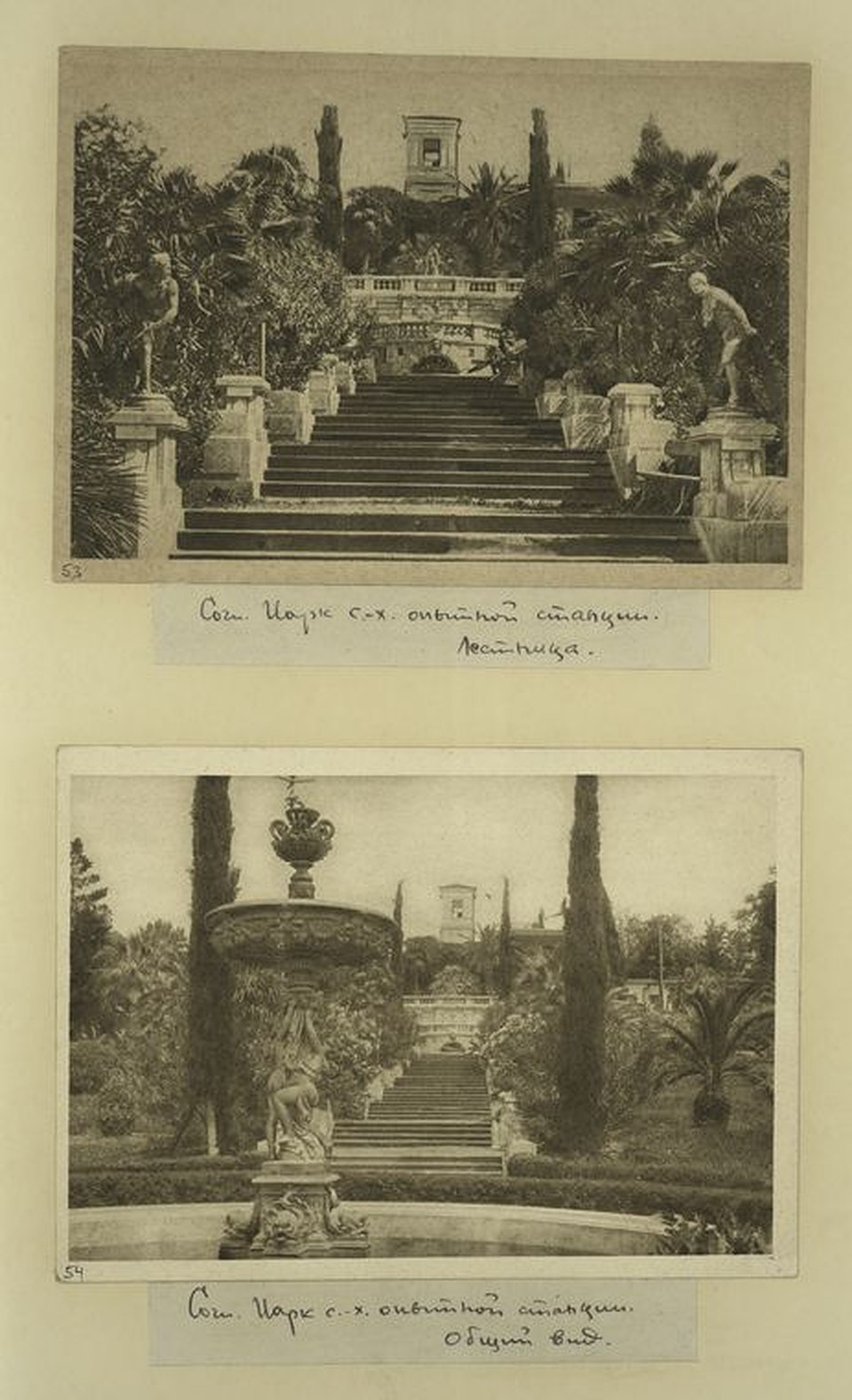 digitalcollections.nypl.org