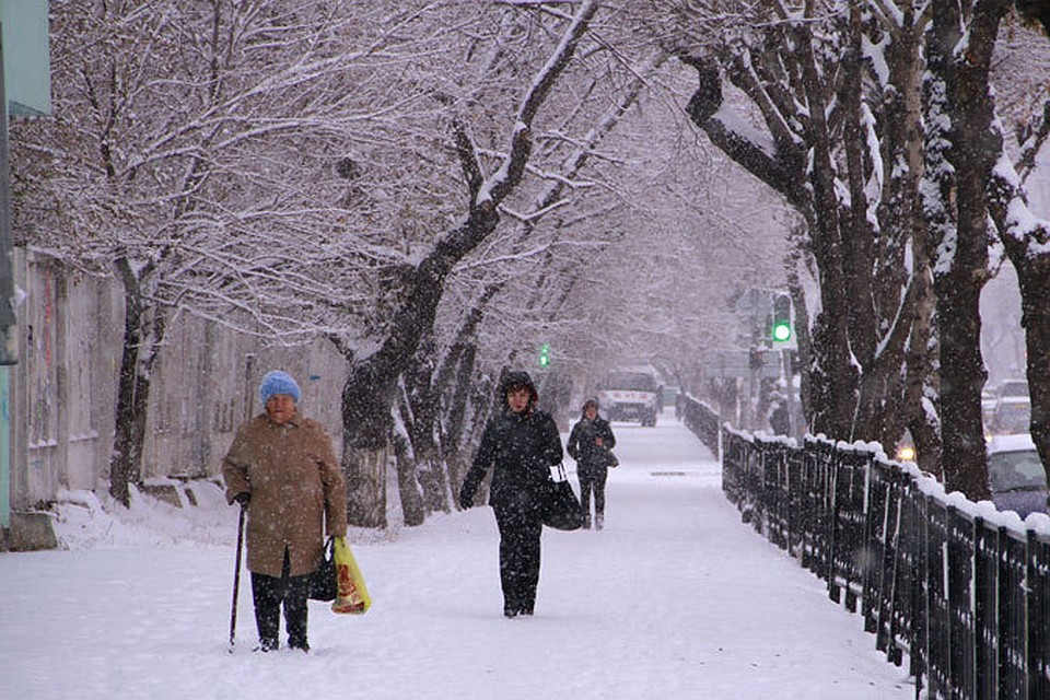Фото: архив "КП".