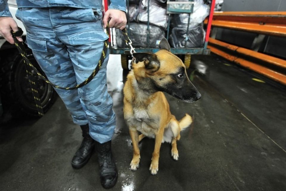 В сумке оказались личные вещи пассажира