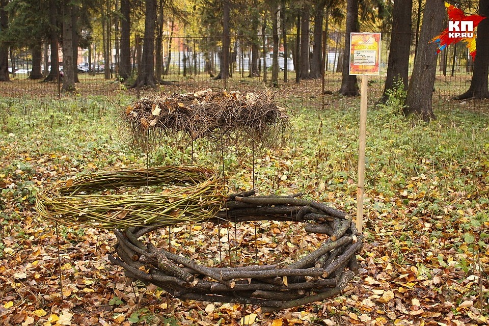 Фото: Сергей Грачев