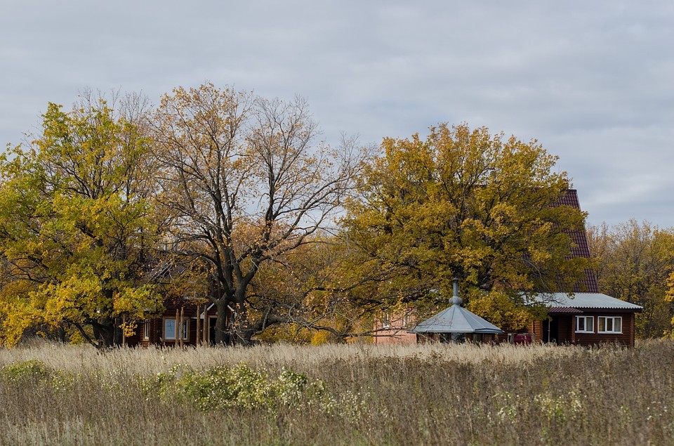 Фотоохота в Кинель-Черкасском районе: так вот ты какой, олень благородный Фото: Андрей ЦЫГАНОВ
