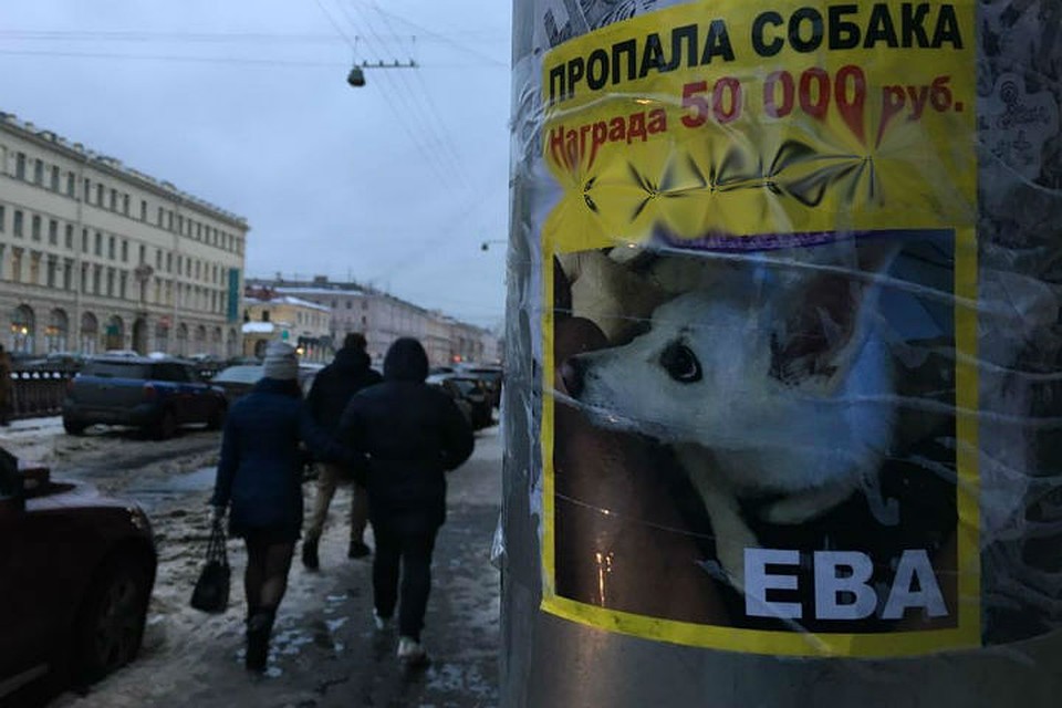 Фото: Павел Никифоров