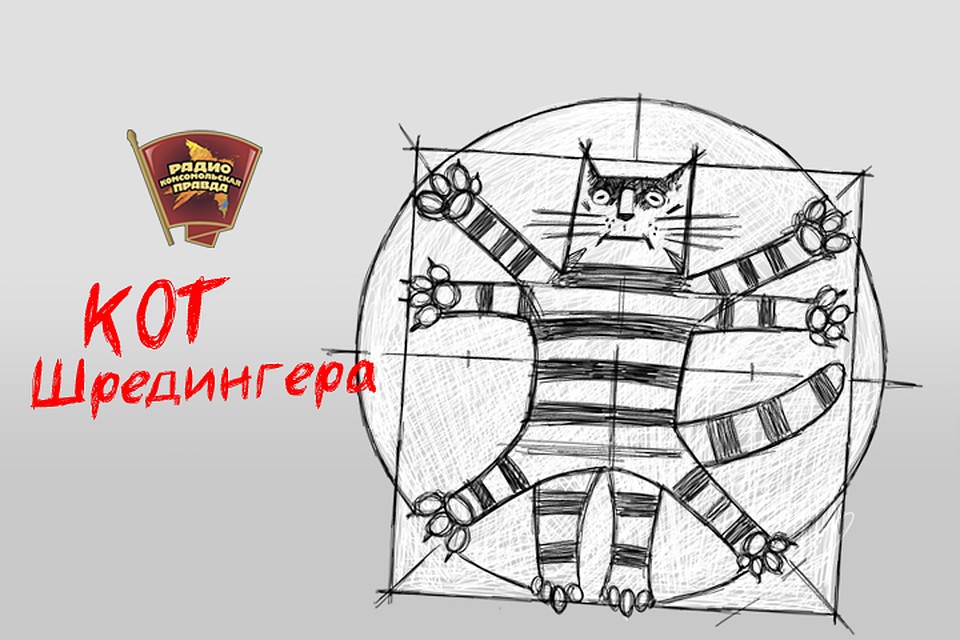 Что такое протезы для мозга
