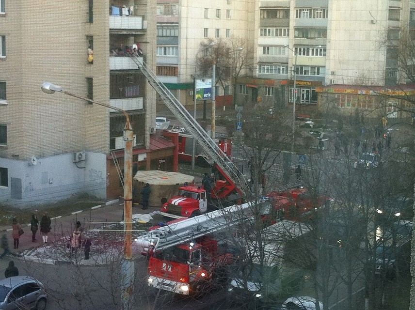 фото: предоставлено очевидцем.