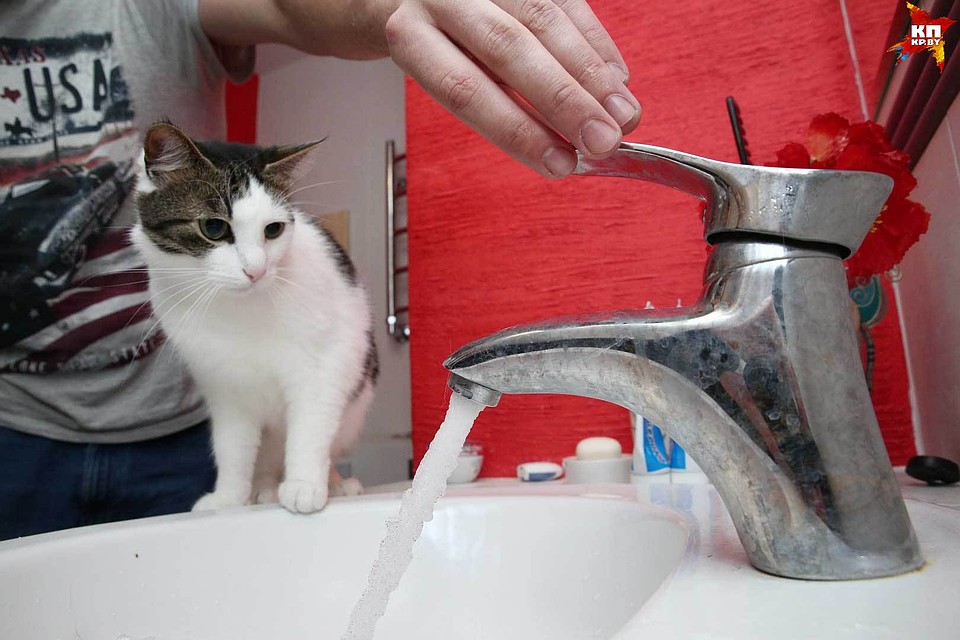 Где можно ввести данные по воде?
