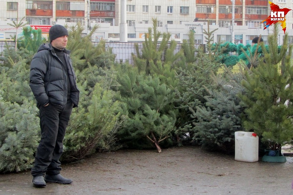 В мэрии назвали места, где можно будет купит новогодний символ