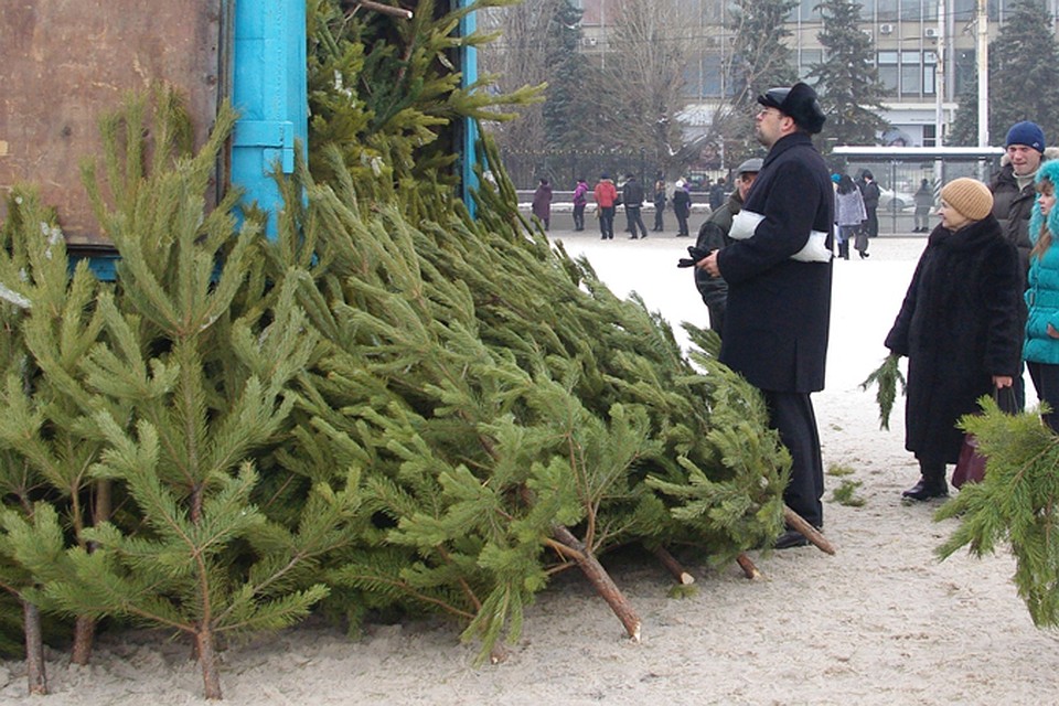 Цены на елки останутся прежними