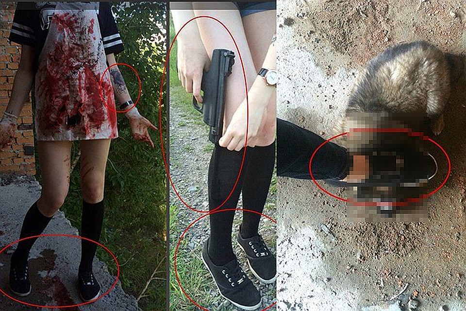 У хабаровских живодерок появились последователи
