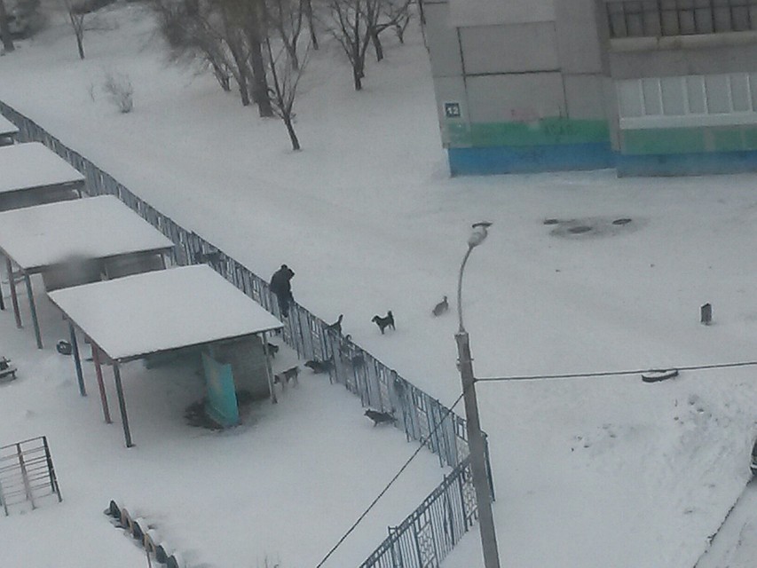 Фото инцидента выложили в соцсети