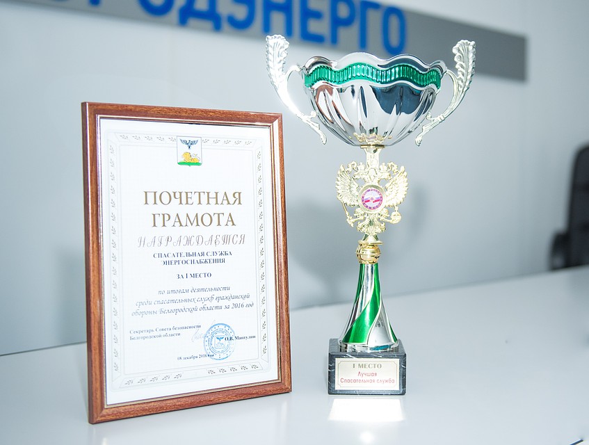 фото: пресс-служба филиала ПАО «МРСК Центра» - «Белгородэнерго».