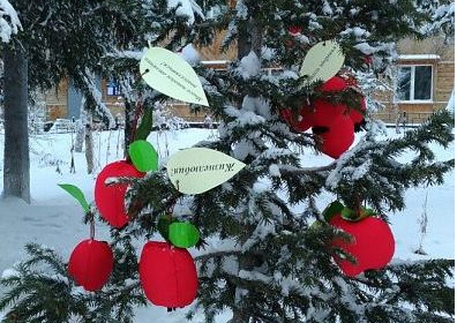 Жители Салехарда по древней традиции украсили деревья яблоками salekhard.org