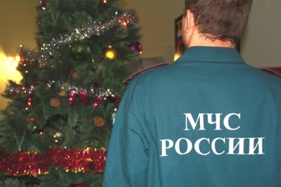 Фото - ГУ МЧС по Воронежской области
