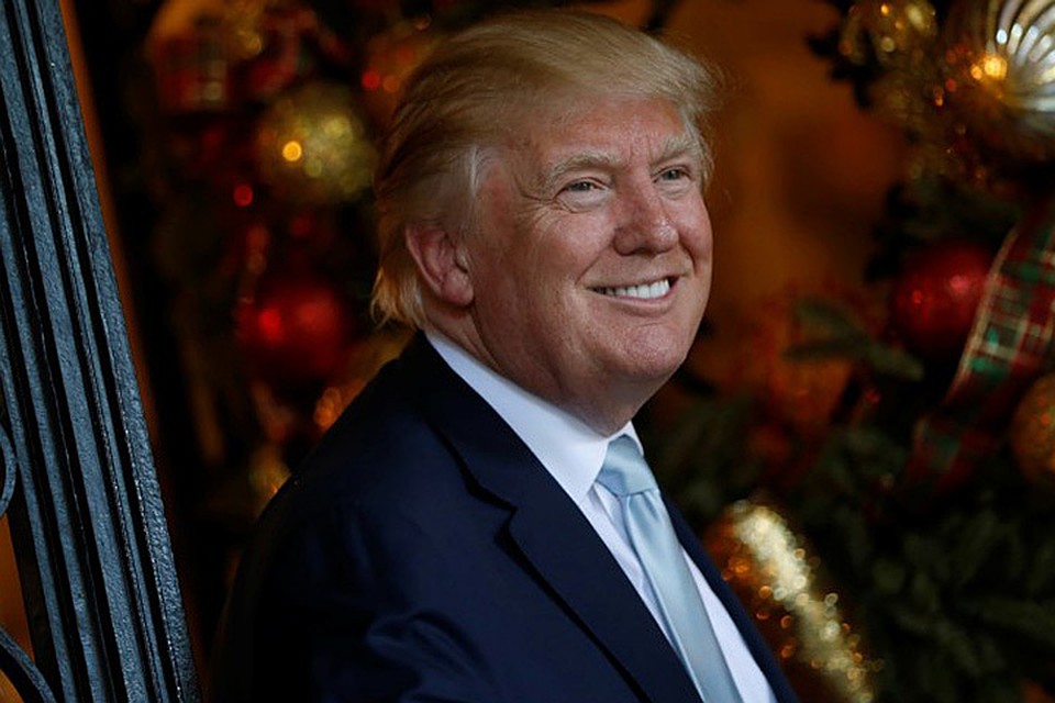 В честь 45-го президента США назвали насекомое. Моль получила название Neopalpa donaldtrumpi