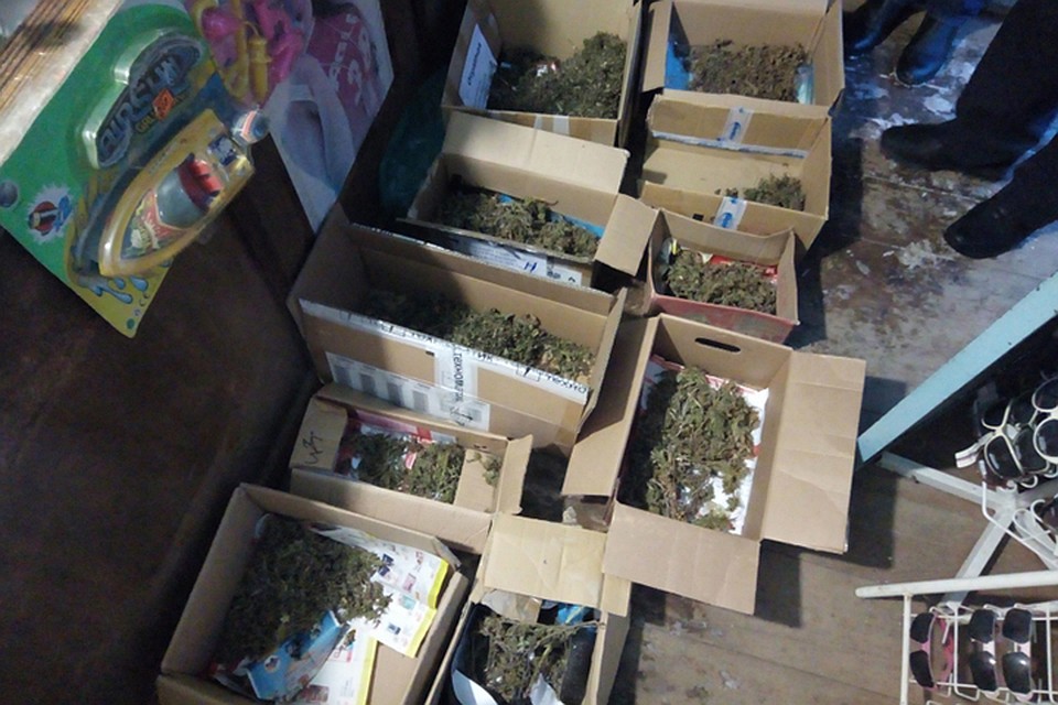 Наркотики были аккуратно разложены по коробкам