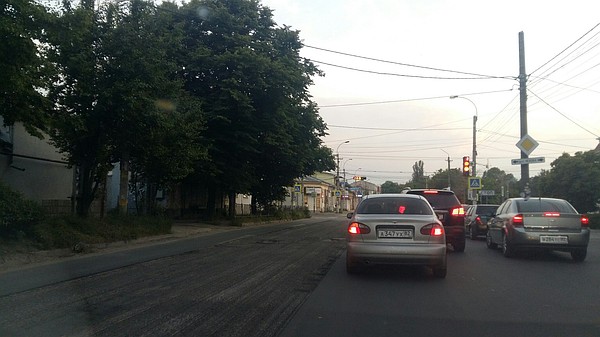 Алиса ЦАРИГОРОДЦЕВА